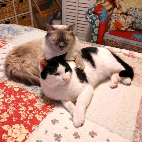 Meet your Posher, Julie - Picture 4 of 12